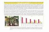 La importancias de Zinc, Boro y Azufre en la Producción de ...nla.ipni.net/ipniweb/region/nla.nsf... · el 90% del área cultivada en banano tiene deficiencias de nitrógeno (Figura