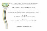 TRABAJO DE GRADUACIÓN - repositorio.una.edu.nirepositorio.una.edu.ni/3616/1/tne20a473.pdf · UNIVERSIDAD NACIONAL AGRARIA FACULTAD DE DESARROLLO RURAL TRABAJO DE GRADUACIÓN Plan