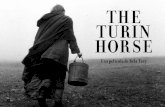 The Turin horse - Paco Pochla carreta; de eso viven. El padre lleva a cabo trabajos con la carreta, su hija se ocupa de la casa. Es una vida muy precaria e infinitamente monótona.