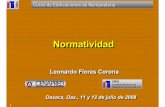 2008 LFC-3 Normatividad - Sociedad Mexicana de Ingeniería ... · 1 Leonardo Flores CoronaLeonardo Flores Corona NormatividadNormatividad Oaxaca, Oax., 11 y 12 de julio de 2008Oaxaca,
