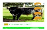 Charro de Llen - centrotorolidia.com · 4 CHARRO DE LLEN Características de la finca: La finca “Llen” situada en Las Veguillas, tiene 250 hectáreas de de-hesa llena de encinas,