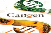Somos - caricagenetics.com · Mejoradores del cultivo por excelencia Semillas de papaya y productividad constante. de alta calidad Producimos en de papaya Vendemos y exportamos a