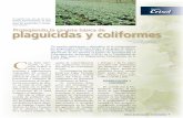 plaguicidas y coliformes Protegiendo la canasta …prácticas de cultivo, manejo poscosecha y reducción de la contaminación de los pro-ductos perecederos de abas-to, así como de