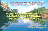 PLANTAS MEDICINALES DE LA AMAZONÍA PERUANA: USOS … · uso y manejo de las plantas medicinales. Los pobladores de las comunidades nativas y mestizas han logrado una estrecha asociación