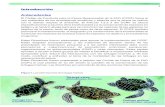 1 Introducción Antecedentes · Introducción Antecedentes El Código de Conducta para la Pesca Responsable de la FAO (CCRF) llama al uso sostenible de los ecosistemas acuáticos