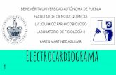 BENEMÉRITA UNIVERSIDAD AUTÓNOMA DE PUEBLA Electrocardiograma FACULTAD DE …wikifisiologia.pbworks.com/f/electrocardiograma seminario... · 2019-10-05 · La alegría de leer un