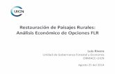 Restauración de Paisajes Rurales: Análisis Económico de … · 2014-12-03 · Ejemplo1: Costo/Beneficio de Actividades en Región A 2000 Beneficios Privados Costos Privados Costos