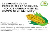 La situación de los transgénicos en Andalucía. ¡NO LOS ... · Plataforma Andalucía Libre de Transgénicos (PALT) Charla informativa y presentación informe PALT “Impacto de