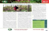 BOLETÍN SEMILLAS DE IDENTIDAD No. 3 · de semillas, los ensayos de producción y almacenamiento de semillas, la venta y préstamo de semillas y los logros organizativos y de articulación
