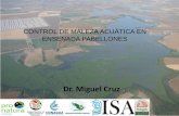 Dr. Miguel Cruz€¦ · la especies de tule (Typha spp.) y lirio acuático (Eichornia crassipes), incluyendo la evaluación de sitios a restaurar, planificación y desarrollo de las