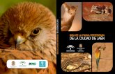 LA DE GUÍA DE LA FAUNA VERTEBRADA FAUNA VERTEBRADA DE … · 2020-04-28 · 4 Guía de la Fauna vertebrada de la Ciudad de Jaén 5 Edita: Concejalía de Medio Ambiente y Salud. Excmo.