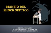 IRENE ALONSO RAMOS R2 ANESTESIOLOGÍA Y REANIMACIÓN ...arydol.com/wp-content/uploads/2018/08/MANEJO-DEL-SHOCK-SEPTI… · ¡ En caso de intolerancia a la nutrición enteral: § NO