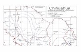 Chihuahua - Gob · Escala Gráfica 20 20 Chihuahua Isoyetas de Intensidad de Lluvia (mm/hr) Período de Retorno 10 Años Duración 240 min 200 km SCT - DGST COAHUILA DURANGO NUEVO