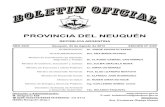 PROVINCIA DEL NEUQUÉN - neuquen.gov.arboficial.neuquen.gov.ar/pdf/bo13082303365.pdf · Dirección y Administración: M. Belgrano 439 ... Sr. ALFREDO JOSÉ RODRÍGUEZ ... cargo del