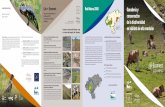 mejora de la conectividad de la conservación de la ... · en hábitats de alta montaña La Red Natura 2000 nació en 1992 y está formada por: garantizar la supervivencia a largo