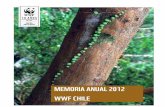 Memoria anual 2012 - WWF Chiled2ouvy59p0dg6k.cloudfront.net/downloads/memoria... · uso sostenible de los recursos naturales, como la disminución de la contaminación y el consumo