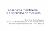 El genoma modificable: la epigenética en medicinaneopuertomontt.com/.../CursoGenetica/Epigenetica.pdf · 2018-09-26 · • El estado epigenético varía entre tejidos y durante
