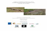 Análisis de Viabilidad de Poblaciones (PVA) de poblaciones ... Crocodile popupl… · San José, Costa Rica Informe Final Organizado por Análisis de Viabilidad de Poblaciones ...