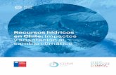 Recursos hídricos en Chile: Impactos y adaptación al ... · Resumen ejecutivo La comparación entre el período 19852015- y el período 20302060- indica una disminución generalizada