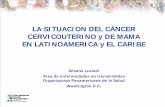 LA SITUACION DEL CÁNCER CERVICOUTERINO y DE ......NCER: El ejemplo de Colombia Source: Parkin et al. Vaccine 2008 mortalidad de cáncer cervicouterino mortalidad de cancer de mama