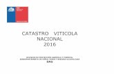 CATASTRO VITICOLA NACIONAL 2016 · 2018-02-21 · catastro viticola nacional (hectáreas) aÑo 2016 cuadro n° 2 pisquera vinÍfera arica 15,00 15,00 tarapaca 2,10 2,10 antofagasta