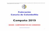 Campaña 2019 · 2019-11-10 · enviadas antes del concurso y, la clasificación de los diferentes campeonatos antes del 15 de Septiembre del 2019. 2.-CAMPEONATO DE CANARIAS DE VELOCIDAD