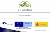 PLANTA CLAMBER - CYTEMAcytema.es/files/2014/02/Javier-Mena-Sanz.pdf · Financiación del Proyecto CLaMber 4 M ... la investigación en la producción de bioproductos innovadores de