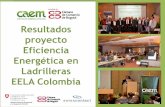 Resultados proyecto Eficiencia Energética en Ladrilleras ...ejearcillas.com/wp-content/uploads/2017/07/Present... · Eficiencia Energética en Ladrilleras – ... Fuente: Inventario