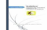 Gabilex - Castilla-La Mancha · 2017-09-23 · Gabilex Nº 11 Septiembre 2017 6 Ex Letrado Jefe del Gabinete Jurídico de la Junta de Comunidades de Castilla-La Mancha. Ex Consejero