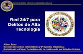 Red 24/7 para Delitos Delitos de Alta Tecnología...Sección de Delitos Informáticos y Propiedad Intelectual Taller regional de la OEA sobre delitos informáticos, abril de 2007 8