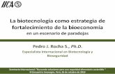 Presentación de PowerPoint - Red Innovagro...La biotecnología como estrategia de fortalecimiento de la bioeconomía en un escenario de paradojas Pedro J. Rocha S., Ph.D.Especialista