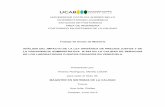UNIVERSIDAD CATÓLICA ANDRÉS BELLO VICERRECTORADO ACADÉMICO ESTUDIOS DE …biblioteca2.ucab.edu.ve/anexos/biblioteca/marc/texto... · 2018-03-09 · estudios de postgrado area de