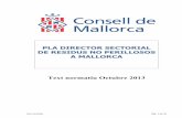 PLA DIRECTOR SECTORIAL DE RESIDUS NO PERILLOSOS A …...c) Respecte dels residus de la construcció, el que disposa l’article 2 del RD 105/2008, d’1 de febrer, pel qual es regula