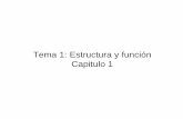 Tema 1 BIOL4368 - Recinto Universitario de Mayagüezacademic.uprm.edu/lrios/4368/Tema_1 BIOL4368.pdf · Tema 1: Estructura y función Capitulo 1. e-e-e-e-Fisiología microbiana BIOL