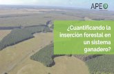 ¿Cuantificando la inserción forestal en un sistema ganadero? · por la forestación. La propuesta de hoy: ... Vacas entoradas cabezas/ hectarea 0,55 0,57 0,39 0,41 Ventas Terneros