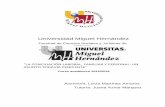 Universidad Miguel Hernándezdspace.umh.es/bitstream/11000/2893/1/TFG Martínez Amorós. Lucía… · Universidad Miguel Hernández. Facultad de Ciencias Sociales y Jurídicas de