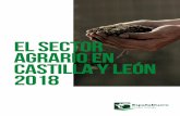 EL SECTOR AGRARIO EN CASTILLA Y LEÓN 2018...12 I.1. La PAC y su incidencia en el sector agrario de Castilla y León 26 I.2. Entorno económico y evolución del sector agrario en 2017