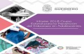 Informe 2018 GEPEA Guerrero - gob.mx · alinear y articular políticas, programas y acciones, de forma permanente en los municipios que presentan la mayor incidencia de embarazo en