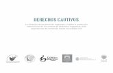 DERECHOS CAUTIVOS - estudiosfronterizos.files.wordpress.com · II. Contexto jurídico y situación actual de la detención de personas migrantes y ... en detrimento de la identificación