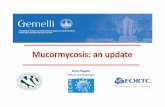 Mucormycosis: an update › wp-content › uploads › 2019 › ... · Factorsinfluencingthe courseof Zygomycosis Pagano etal, Haematologica2004 Univariateanalysis Age Sex (M vs F)