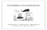 POMBA DOURADA - edu.xunta.gal · sobre todo en Arxentina (Castelao falecera en Bos Aires en 1950), antifranquistas e republicanos, así como de moitos galeguistas «do interior».