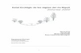 Estat Ecològic de les aigües del riu Ripoll Informe 2002ca.sabadell.cat/Aigua/d/Aigua_Informe2002NP.pdf · (Bèlgica, Itàlia, França) que dóna un valor de qualitat de les aigües