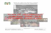 ˝PLAN DE DESARROLLO COMUNAL 2008 201 ... - research.csiro.au · GEÓGRAFO MAG˝STER EN EDUCACIÓN I. M. DE CHIMBARONGO REGIÓN DEL LIBERTADOR BERNARDO O ˇHIGGINS ILUSTRE MUNICIPALIDAD