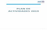 PLAN DE ACTIVIDADES 2019 - Fundacionesintranet.fundaciones.org/.../Plandeactividades2019.pdfC. Bases de datos y fuentes de información. Mantener y actualizar la base de datos de la