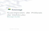 Suscripción de Pólizas de Vehículo€¦ · Suscripción de Póliza de Vehículo | 6 Vehículos rechazados por desistimiento del cliente o agente. Control de tiempo máximo de vigencia