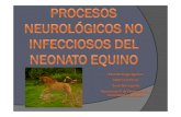 Procesos neurológicos no infecciosos del neonato equinoorientacionalaprofesion.com/_veterinaria/pdf/Proc. Neonato.pdfEncefalopatía hipóxica-isquémica Enfermedad del músculo blanco