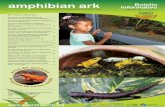 AArk Boletin Informativo amphibian ark Informativoamphibianark.org › Newsletters › AArk-newsletter-38-Spanish.pdf · 2,600 (31%) de las 7.530 especies de anfibios actualmente