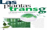 Las plantas - Portal Académico CCH€¦ · de las plantas puede darle a éstas formas especiales de tolerancia o defensa ante pla-gas y enfermedades. Por ejemplo, existe un grupo