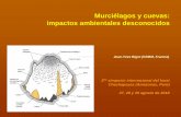 Murciélagos y cuevas: impactos ambientales desconocidoscuevasdelperu.org/Conferencias/Chachapoyas2018/... · 3 –Ubicación Dos ejemplos están propuestos: la cueva del Gallito
