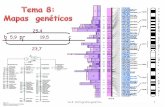 Tema 7: Cartografía genéticabioinformatica.uab.es/base/documents/genetica_gen/... · Antonio Barbadilla Tema 8: Cartografía genética 22 Mapa a partir de cruzamientos prueba de